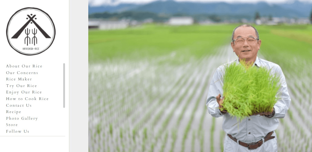 透過網站進行銷售 透過網站進行銷售